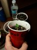 20150402_230936.jpg