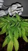 20150118_113609.jpg