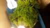 20150207_184356.jpg