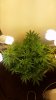 20150213_164931.jpg
