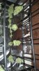 20150404_122908.jpg