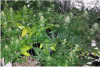 2015-04-06 00.43.00.png