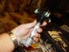DSC00017.jpg