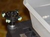 DSC00024.jpg