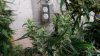20150410_124105.jpg