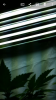 Screenshot_2015-04-10-18-59-44.png