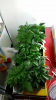 Screenshot_2015-04-15-14-14-31.png