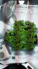 Screenshot_2015-04-15-14-14-41.png