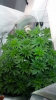 Screenshot_2015-04-15-14-15-22.png