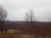 IMG_20150415_152755.jpg