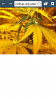 Screenshot_2015-04-16-17-52-39.png