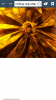 Screenshot_2015-04-16-17-53-42.png