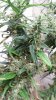 20150416_154324.jpg