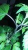 20150419_022510.jpg