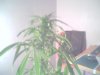 Picture 002.jpg