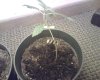 IMG00104.jpg