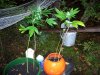 100_0140.jpg