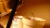 DSC02014-1.jpg