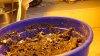 DSC02035.jpg