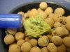 DSC02725.jpg
