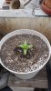 20150422_113948.jpg