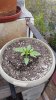20150422_113944.jpg