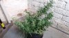 20150423_151021.jpg
