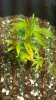 20150424_081339.jpg