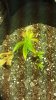 20150424_081314.jpg