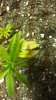 20150424_081244.jpg