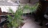 IMAG0117.jpg