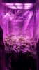 20150428_193630.jpg