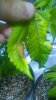 WP_20150428_015.jpg WP_20150428_015.jpg