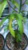 WP_20150428_012.jpg WP_20150428_012.jpg