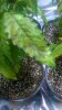 WP_20150428_010.jpg WP_20150428_010.jpg