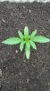 20150428_095746.jpg