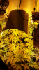 Screenshot_2015-05-01-16-38-43.png