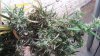 20150501_112705.jpg