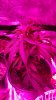 20150502_183931.jpg