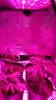20150502_183941.jpg