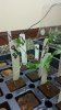 20150319_171534.jpg