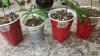 20150320_204309.jpg