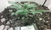 20150504_062417.jpg