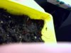 gray mold grow.jpg