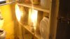 DSC02389.jpg