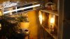 DSC02388.jpg