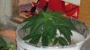 DSC02354.jpg