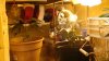 DSC02385.jpg