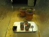 IMG_0173.jpg