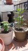 20150505_133312.jpg